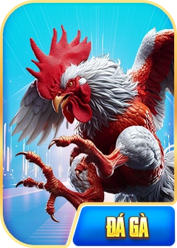 Trực tiếp đá gà RR88