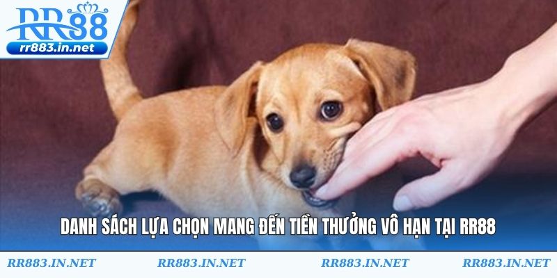Nhận lợi nhuận khủng với con số may mắn tại nhà cái RR88