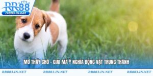 Mơ Thấy Chó - Giải Mã Ý Nghĩa Động Vật Trung Thành