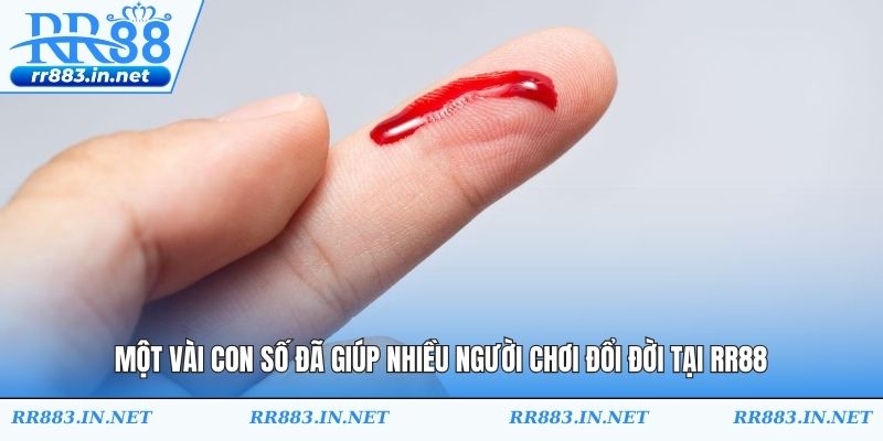 Một vài con số đã giúp nhiều người chơi đổi đời tại RR88
