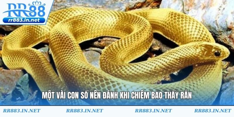 Một vài con số nên đánh khi chiêm bao thấy rắn