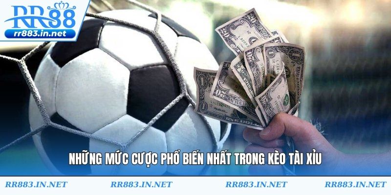 Những mức cược phổ biến nhất trong kèo tài xỉu
