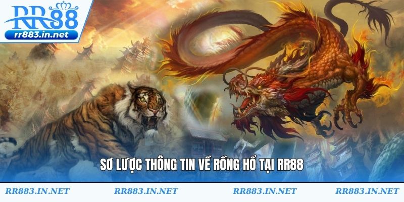 Sơ lược thông tin về rồng hổ tại RR88