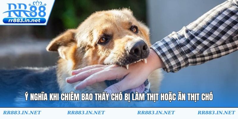 Ý nghĩa khi chiêm bao thấy chó bị làm thịt hoặc ăn thịt chó